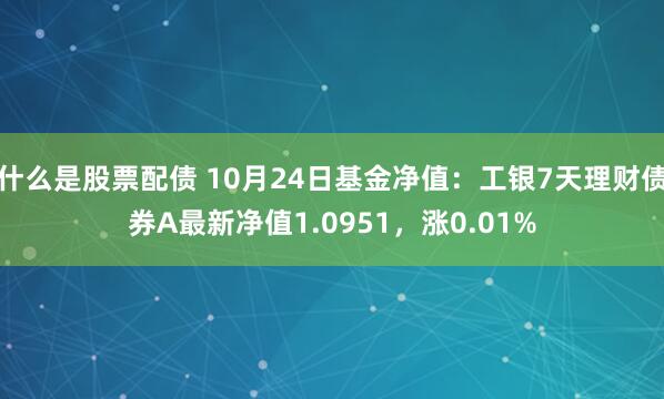 什么是股票配债 10月24日基金净值：工银7天理财债券A最新净值1.0951，涨0.01%