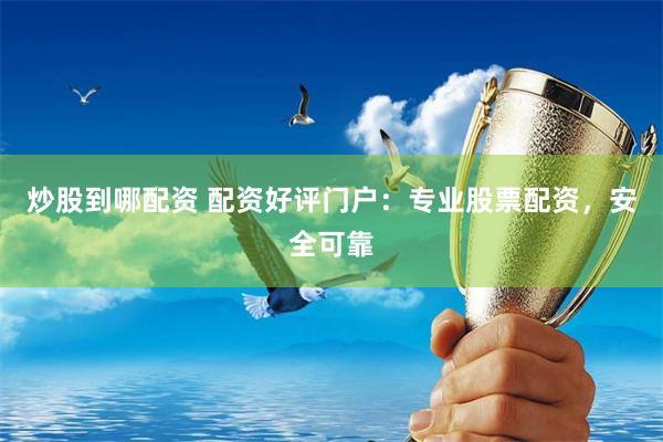 炒股到哪配资 配资好评门户：专业股票配资，安全可靠